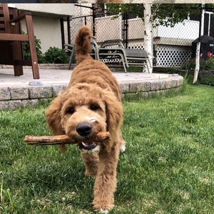 Fundraising Page: Benny Rempel